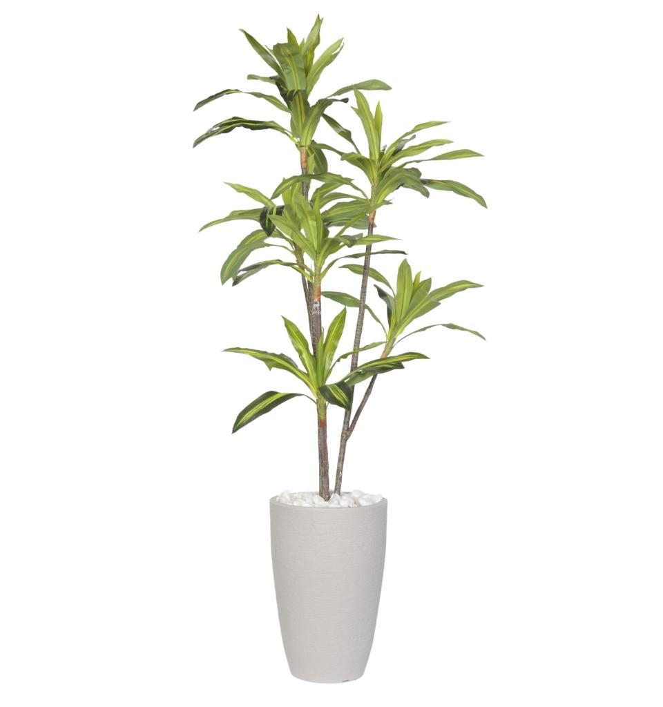 דרצנה מגוונת מלאכותי| כד פמילי | 2.10 מטר