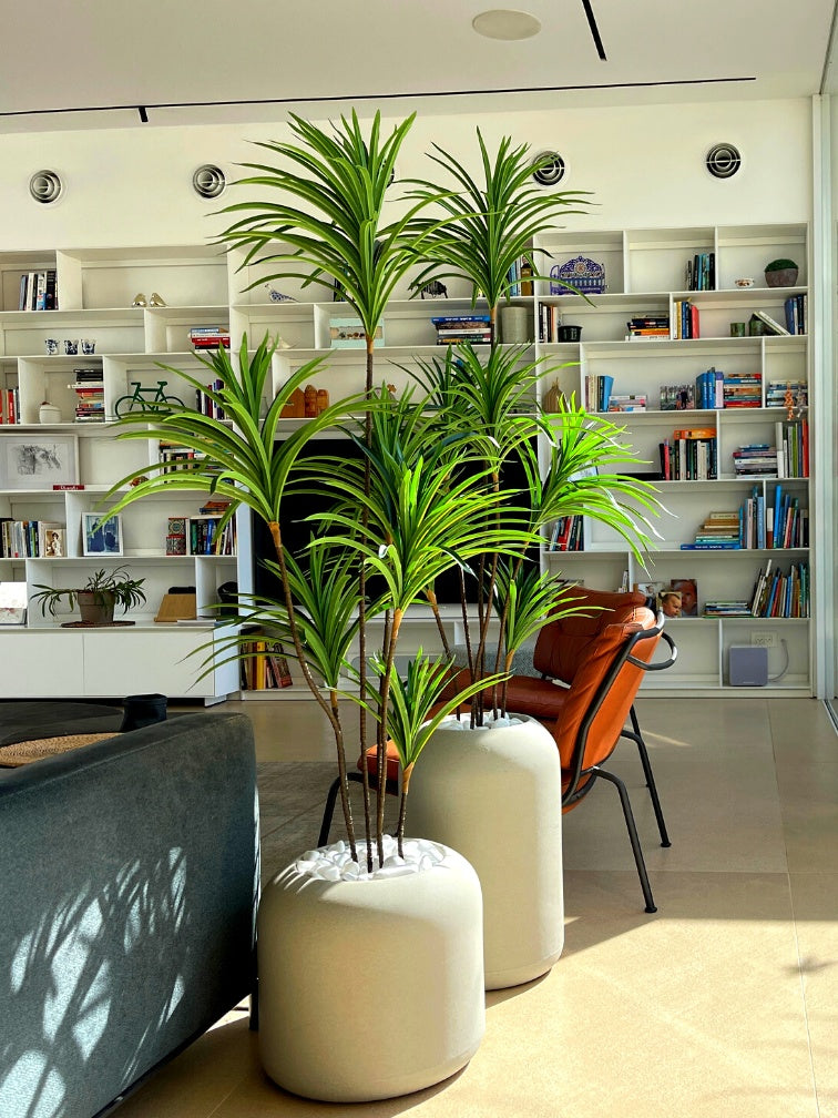 דרצנה מלאכותית | בכדי קולומבוס ואורגון | מחיר לזוג | דגם 427