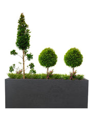 קיט אדנית באורך מטר כולל אדמה למילוי וצמחייה | אייל