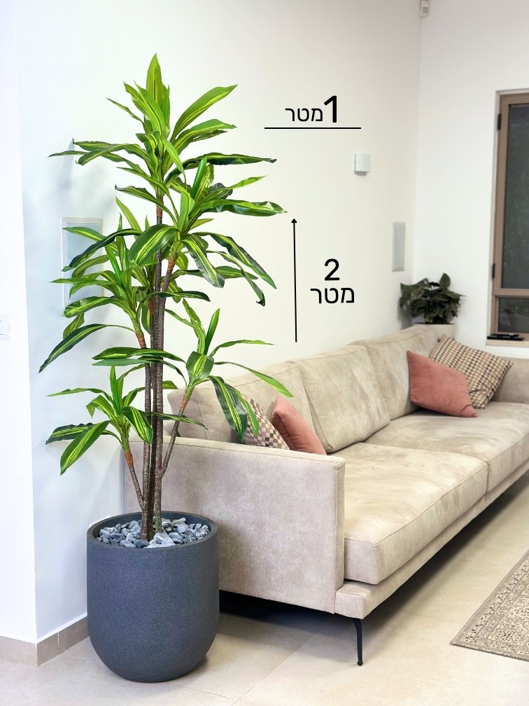 עץ מלאכותי דרצנה מגוונת | כס אגס בינוני | גובה 2 מטר