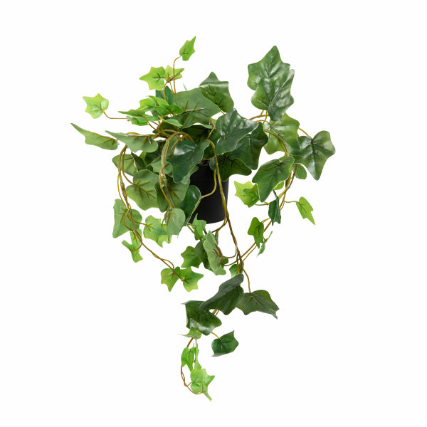 קיסוס גולש מלאכותי בעציץ | 45X15