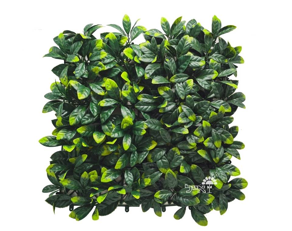 קיר ירוק מתכוונן - ירוק כהה | 50/50 ס״מ