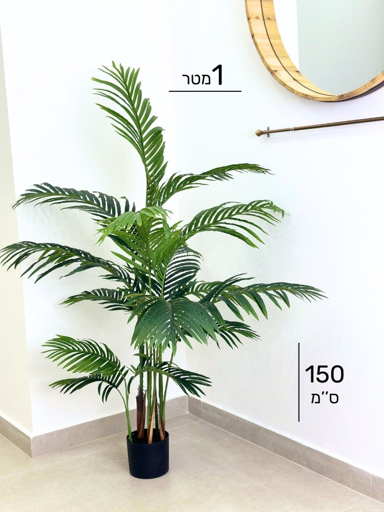 עץ דקל | גובה 150 ס''מ