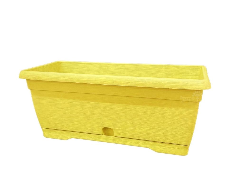 אדנית צבר | צהוב | 60 ס״מ