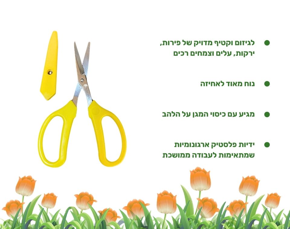 מספרי קטיף מקצועיים | צהוב