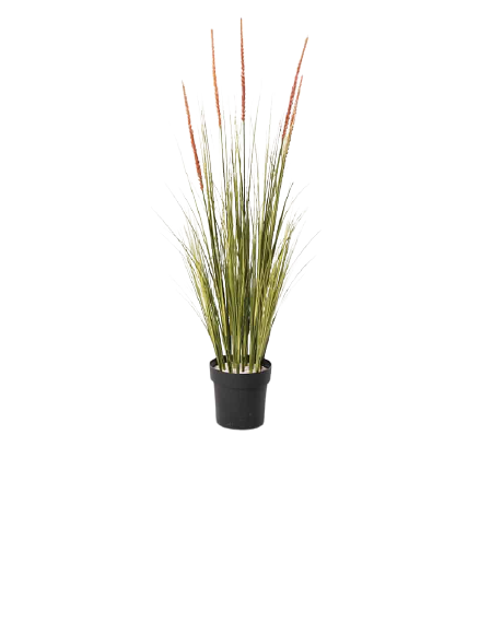 עציץ מלאכותי לבית עשבוני פאמפס | 140 ס"מ