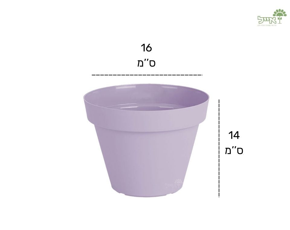 עציץ אביב | סגול לילך | קוטר 16 ס"מ