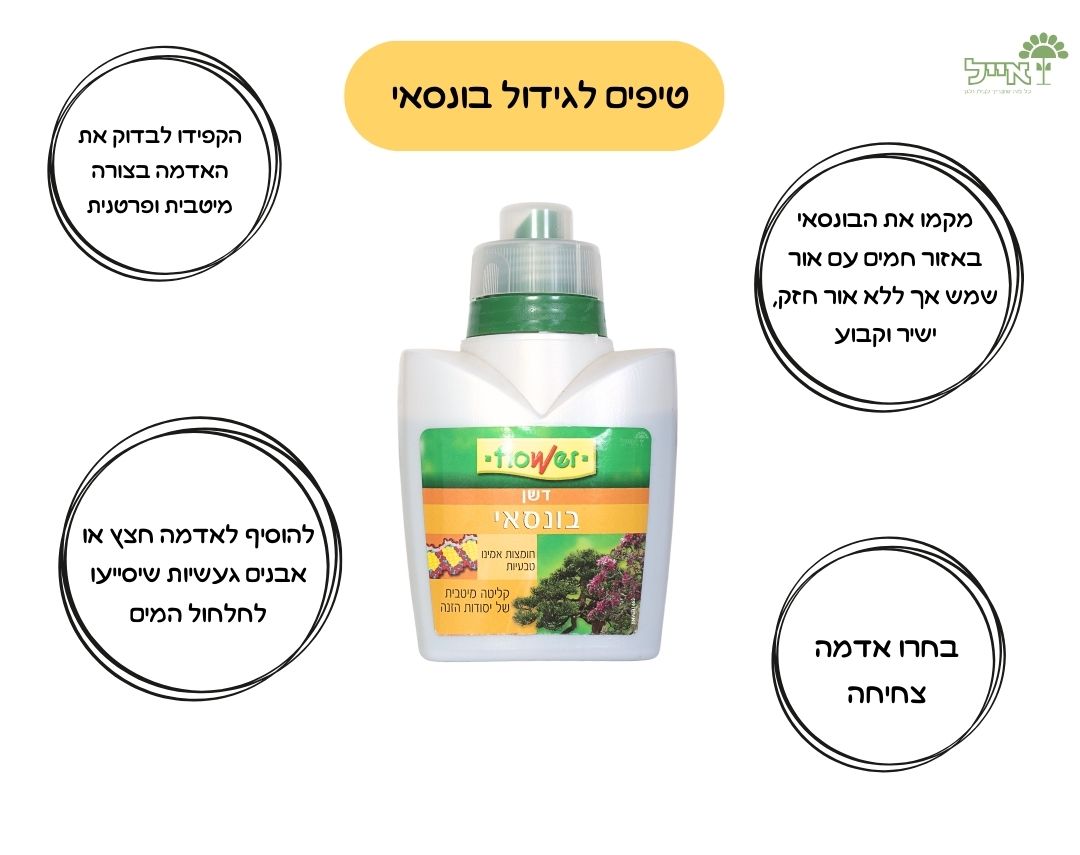 דשן לבונסאי | לתמיכת עצי בונסאי | 300 מ"ל