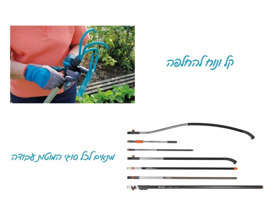 מעדר לב דו שיני