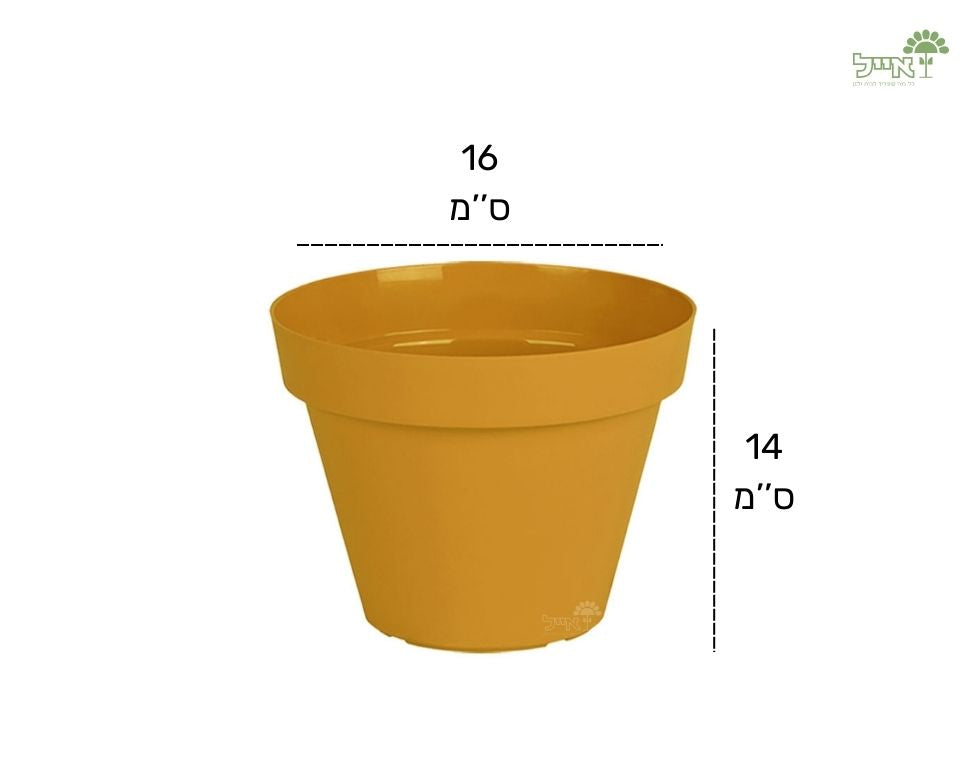 עציץ אביב | חרדל | קוטר 16 ס"מ