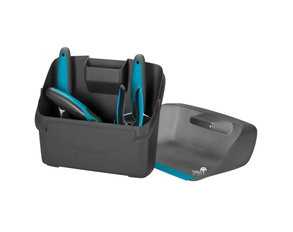 ערכת גינון מיני בארגז