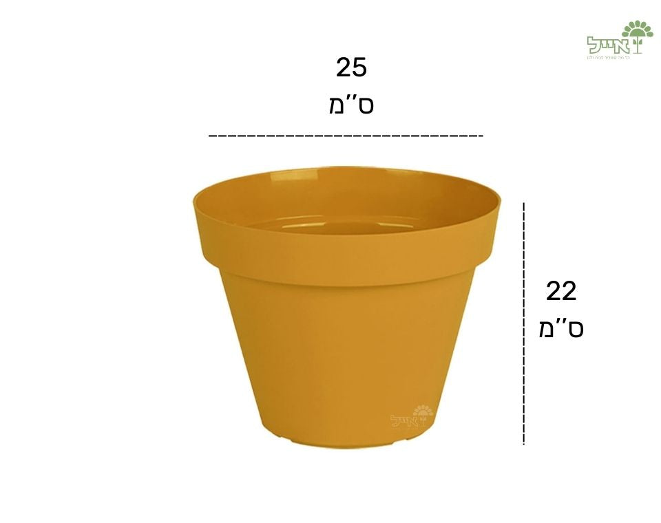 עציץ אביב | חרדל | קוטר 25 ס"מ