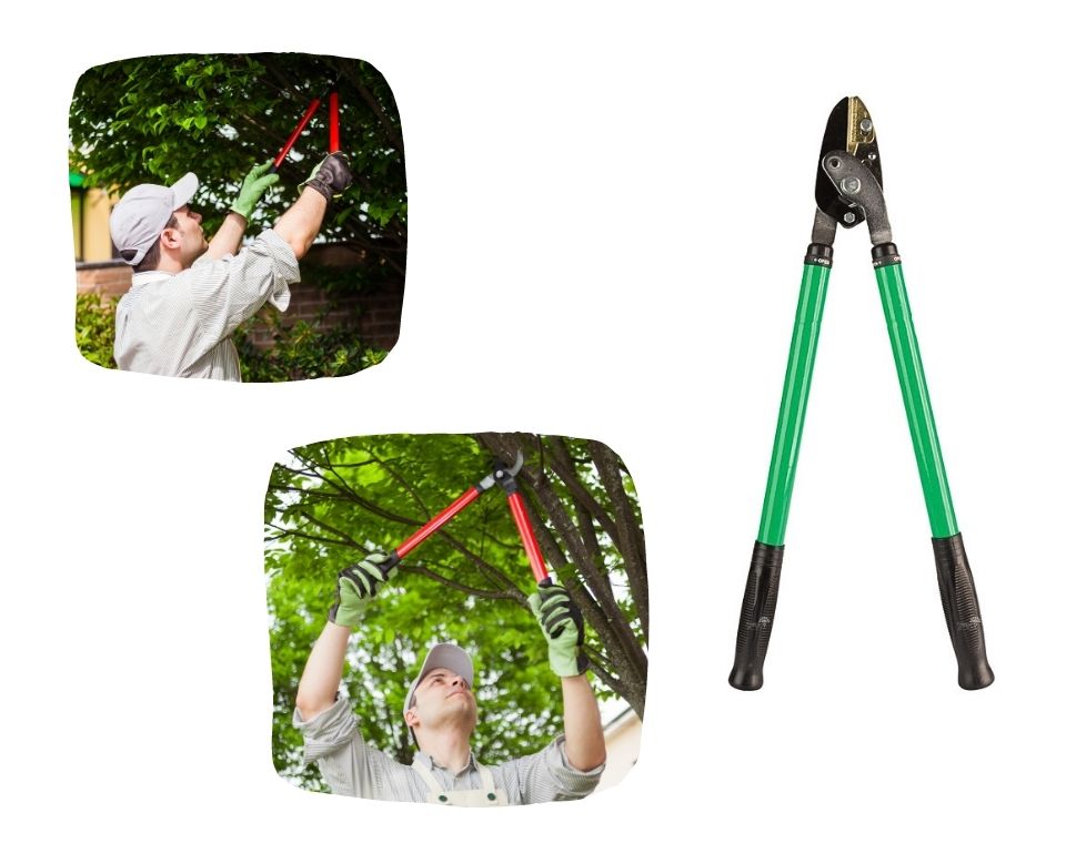 מספרי חיתוך ענפים | M13