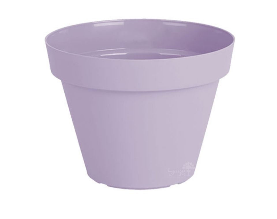 עציץ אביב | סגול לילך | קוטר 35 ס"מ