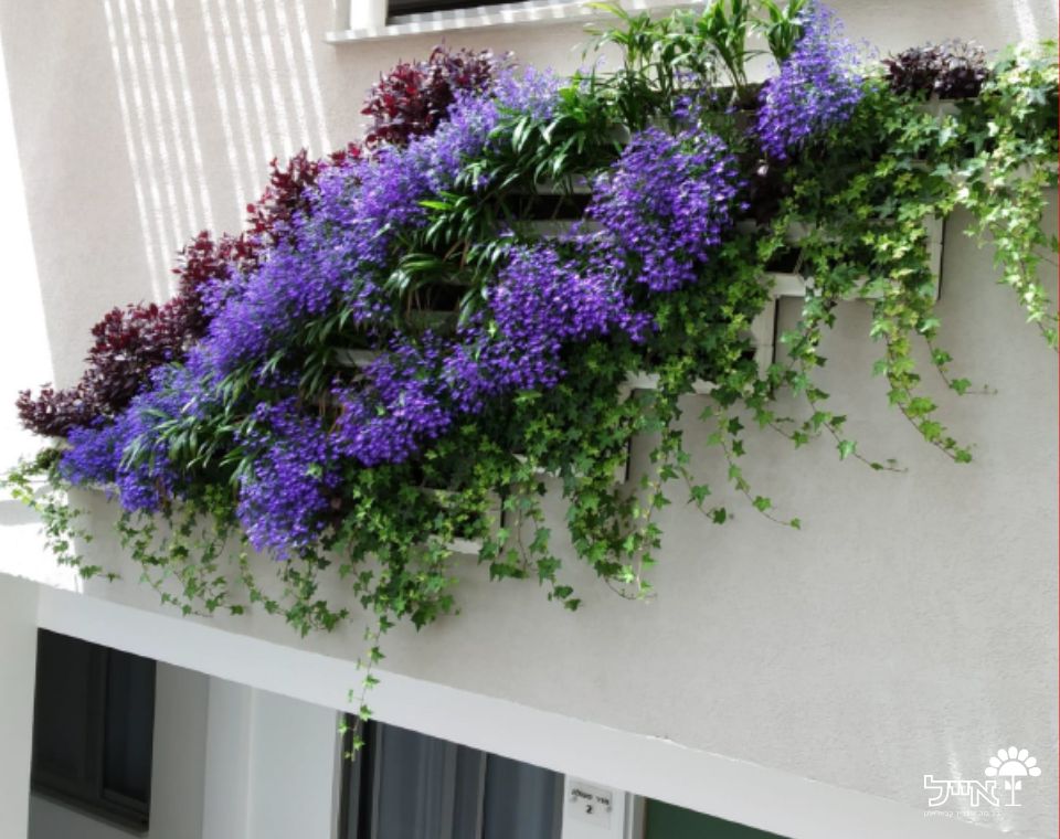 קיר ירוק מערכת מודולרית אורגני | 72 תאים