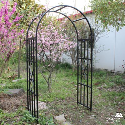קשת מברזל לטיפוס צמחים | 206X114 | שחור | דגם פטל