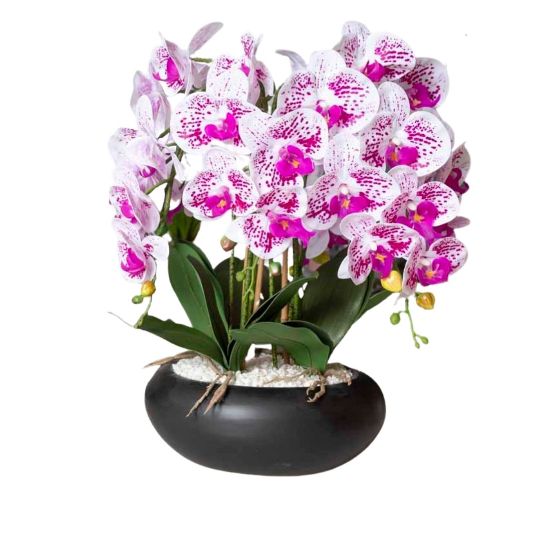 עציץ סחלב מלאכותי בקערה שחורה