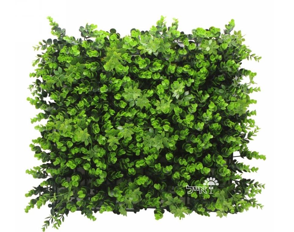 קיר ירוק מתכוונן - ירוק בהיר | 50/50 ס״מ