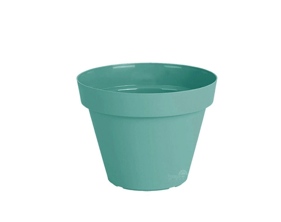 עציץ אביב | מנטה | קוטר 16 ס"מ