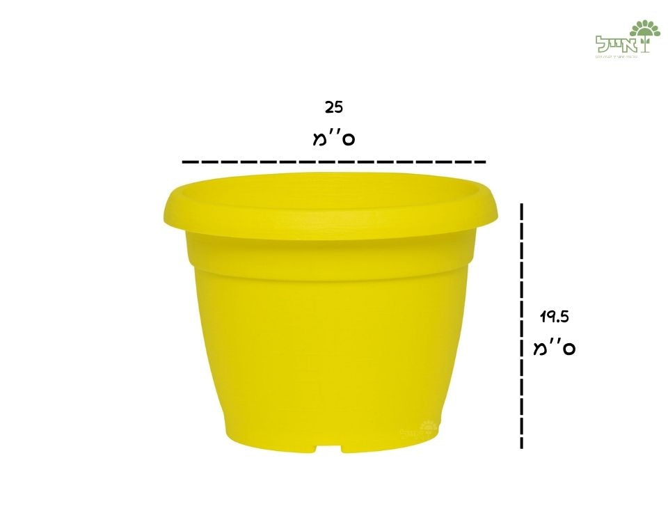 עציץ צבר | צהוב | קוטר 25 ס״מ