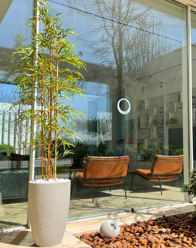 כד פמילי | 55 ס"מ | עץ במבוק מלאכותי