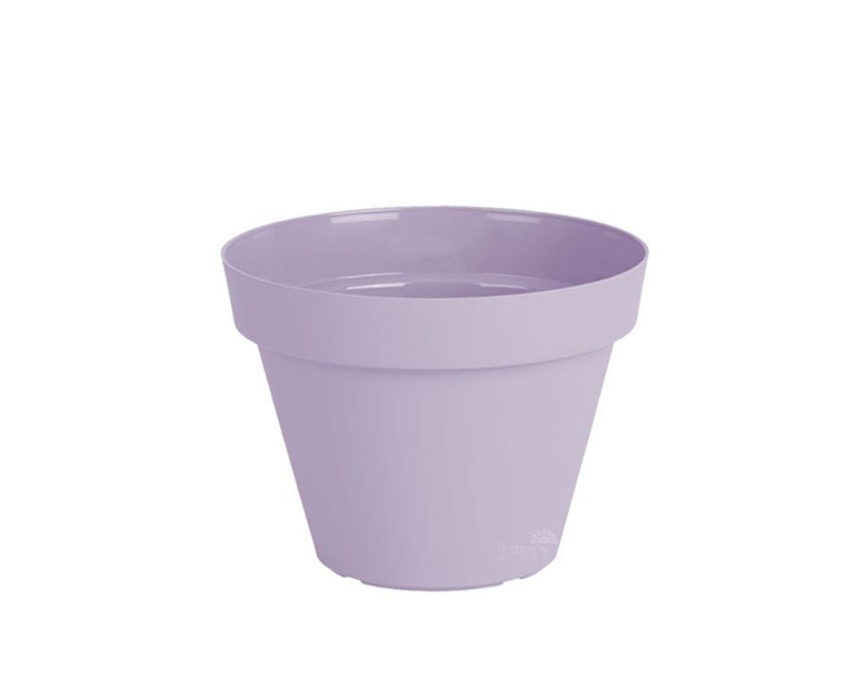 עציץ אביב | סגול לילך | קוטר 16 ס"מ