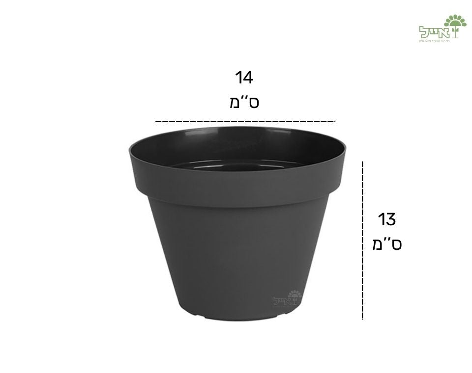 עציץ אביב | פחם | קוטר 14 ס"מ