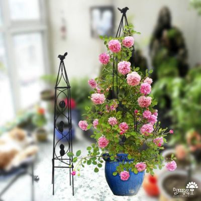 זוג מתקני הדליה מעוטרים לתמיכת צמחים | 100 + 80 | דגם 0020 | שחור