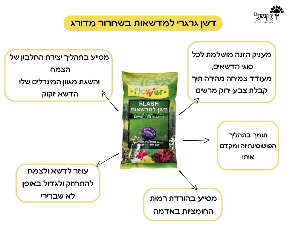 FLASH | דשן לדשא ירוק וצפוף | 1 ק"ג | 50 מ"ר