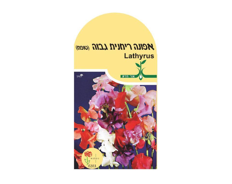 אפונה ריחנית - גבוהה | כ-1.3 גרם זרעים - משתלת אייל