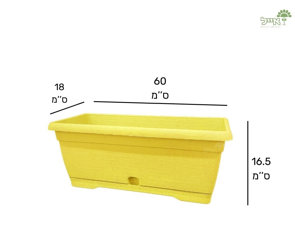 אדנית צבר | צהוב | 60 ס״מ