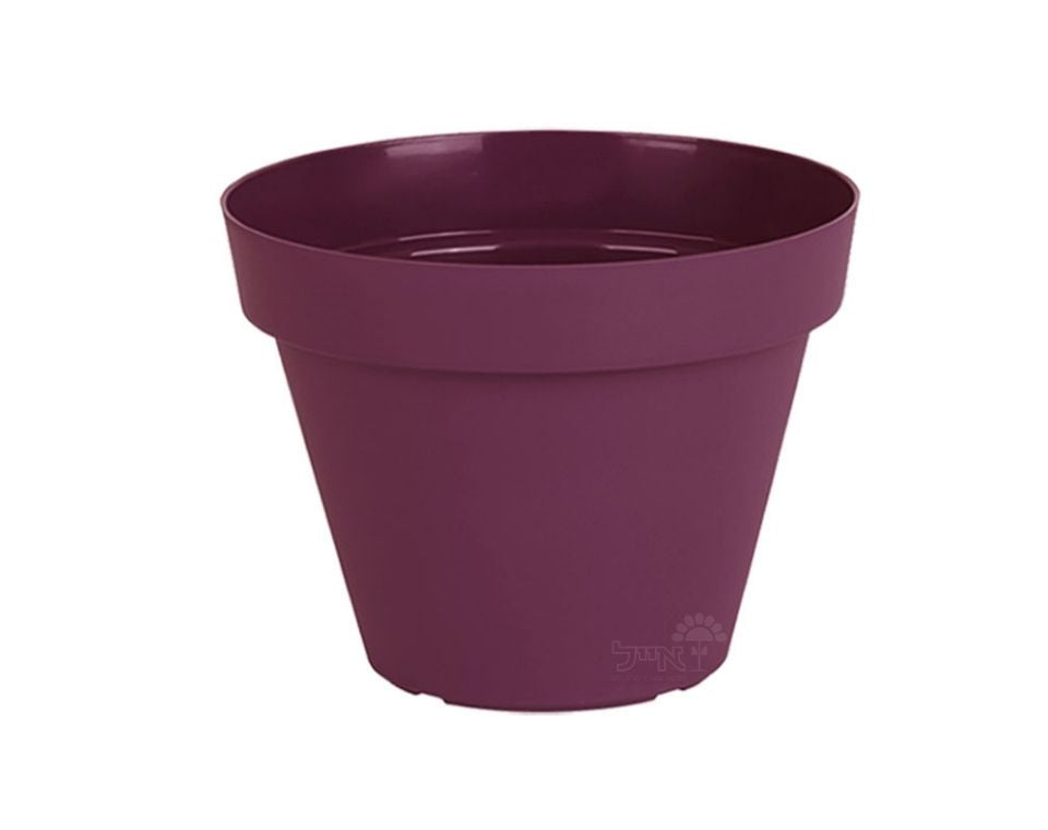 עציץ אביב | סגול כהה | קוטר 25 ס"מ