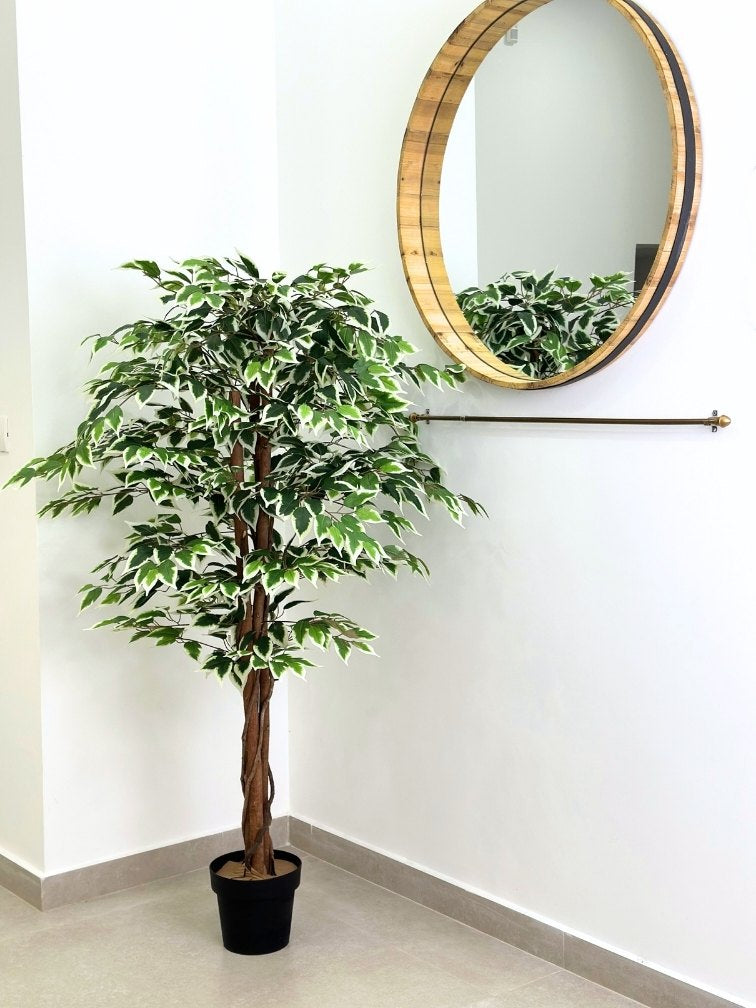 עץ מלאכותי פיקוס בנימינה | גובה 150 ס"מ