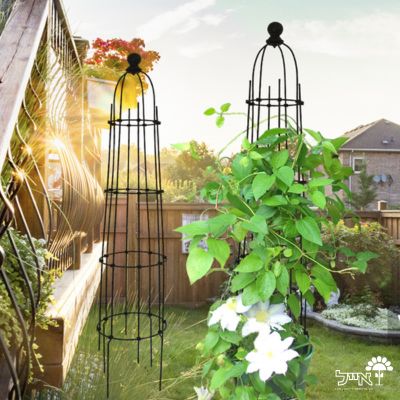 זוג מתקני הדליה לתמיכת צמחים | 20X113 | דגם 224 | שחור