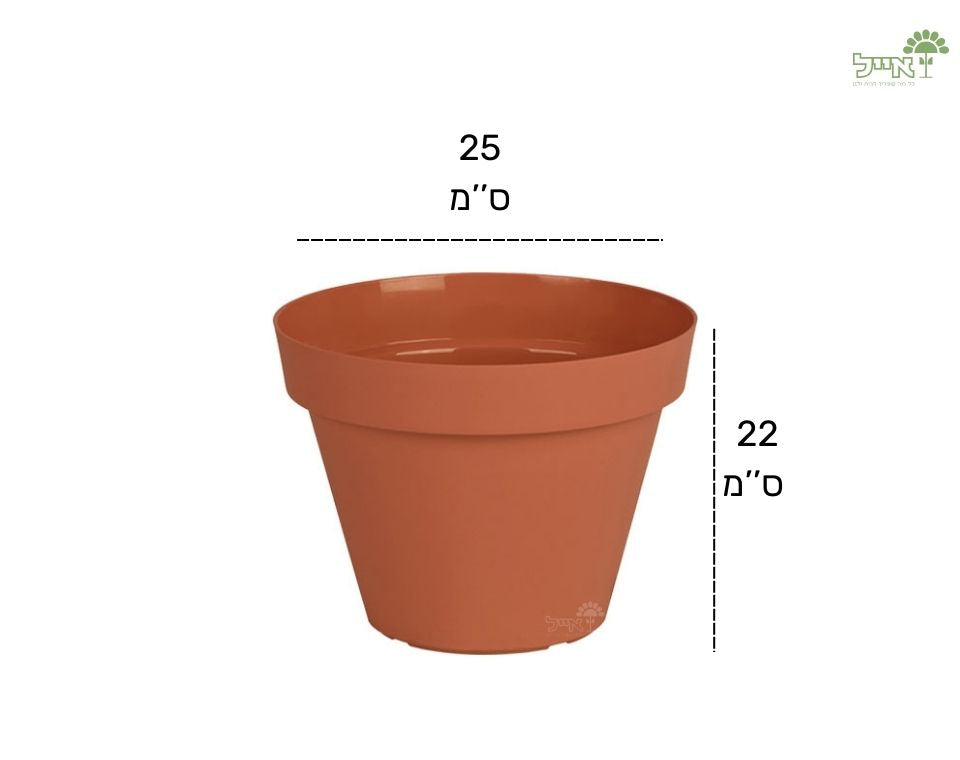 עציץ אביב | חרדל | קוטר 25 ס"מ