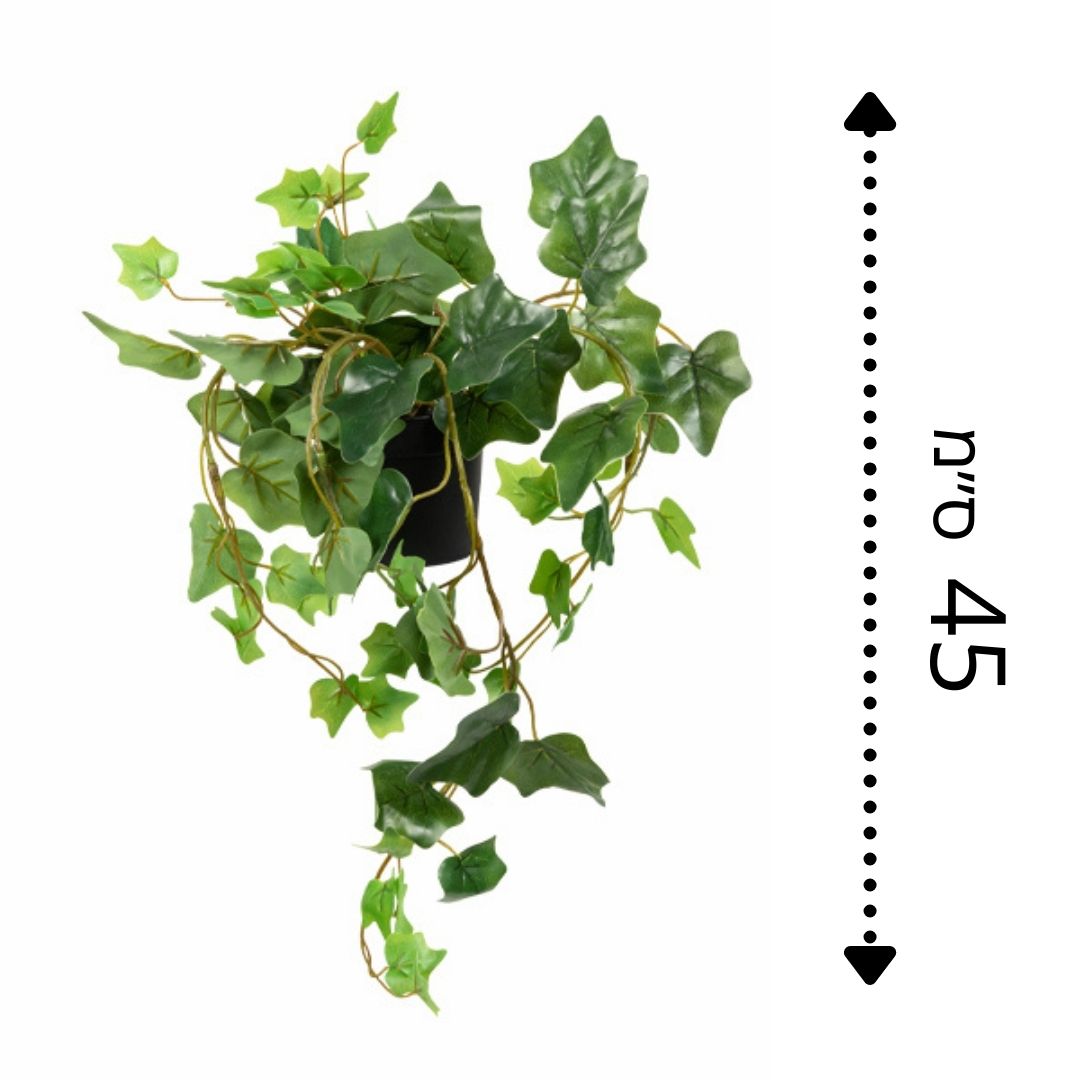 קיסוס גולש מלאכותי בעציץ | 45X15