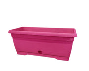 אדנית צבר | ורוד | 40 ס״מ