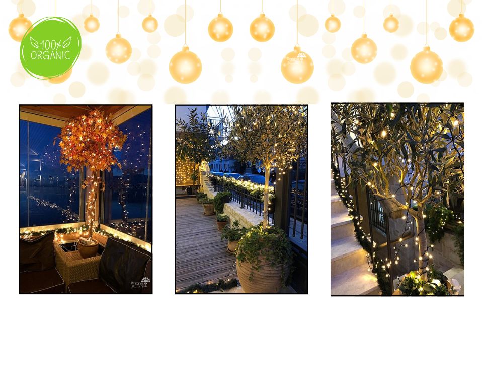 שרשרת תאורת לד סולארית | 50 נורות לד