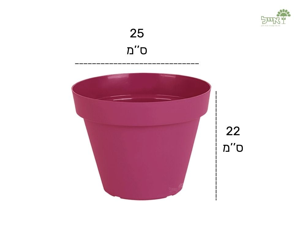 עציץ אביב | ורוד עתיק | קוטר 25 ס"מ