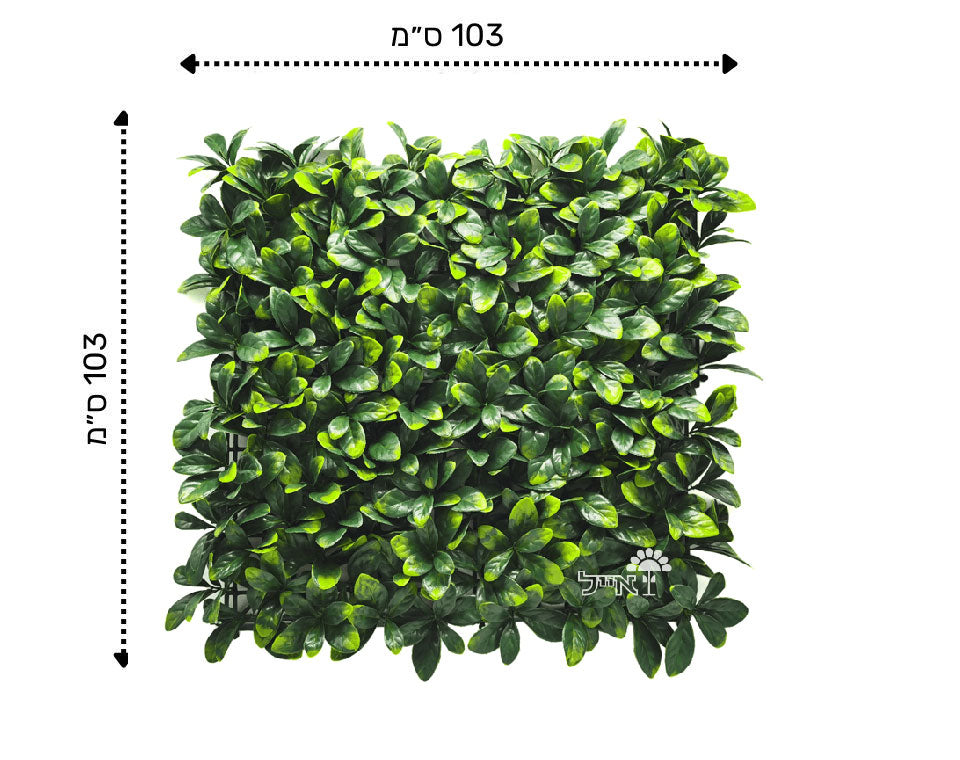 קיר ירוק מתכוונן - עלים ירוקים | 50/50 ס״מ