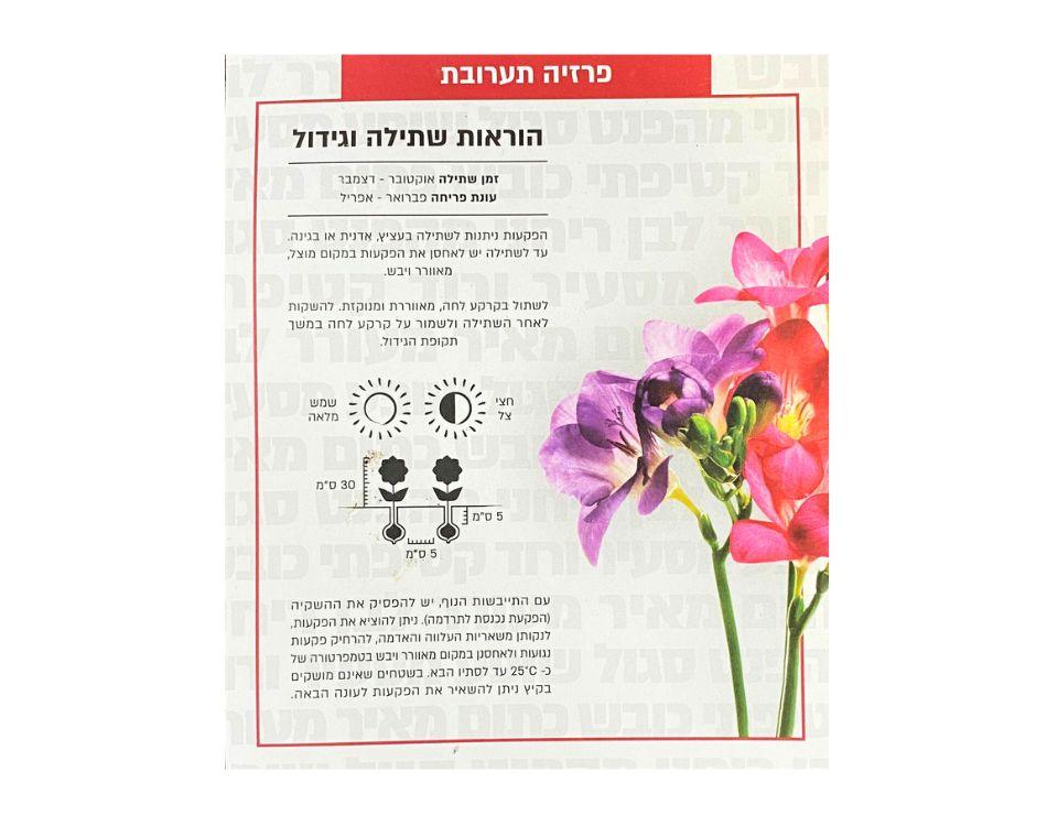 תערובת פרזיות | 10 יחידות - משתלת אייל