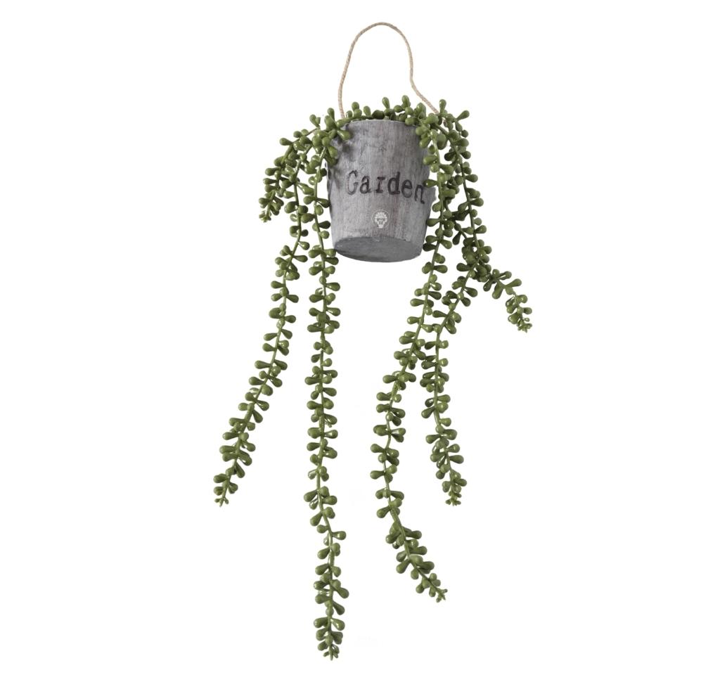 עציץ תלייה נשפכים גארדן