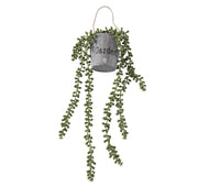 עציץ תלייה נשפכים גארדן