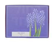 מארז פקעות | פעמוני גשם כחולים | 50 פקעות