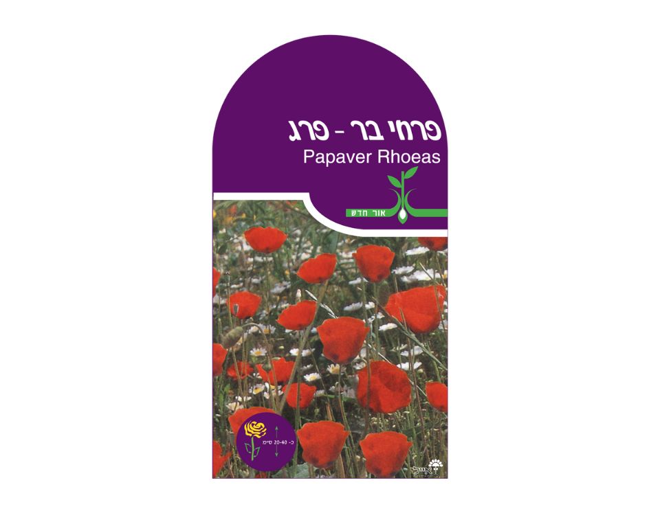 פרחי בר - פרג | כ-70 זרעים - משתלת אייל