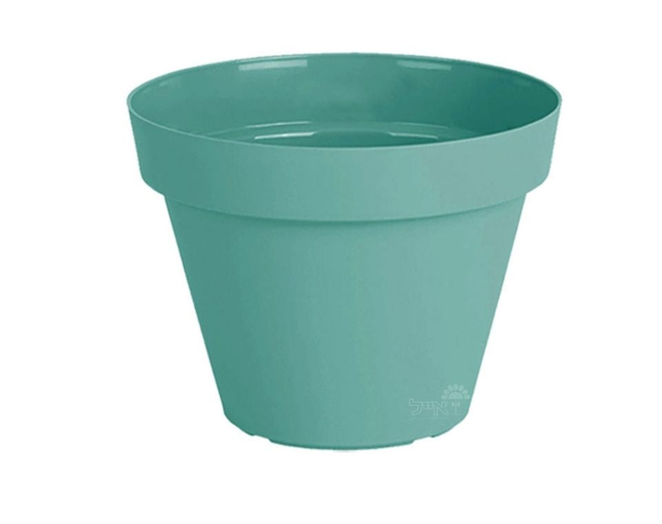 עציץ אביב | מנטה | קוטר 35 ס"מ