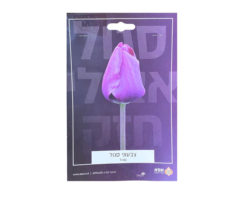 צבעוני סגול | 6 יחידות