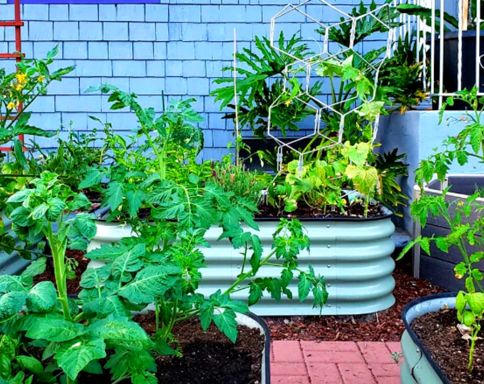 אדנית מודולרית גובה 74 ס"מ | צבע שחור | 6 ב -1 צורות לבחירה | BIRDIES