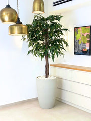 עץ מלאכותי מנגו | כד פמילי גדול | גובה 2.25 מטר