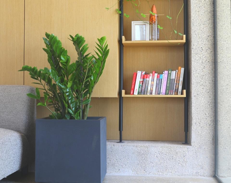 אדנית מרובעת | 49.5 ס״מ | שלושה צמחים